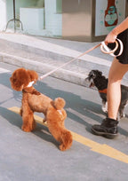 Arkika Microfiber Collar