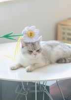 Daisy Cat Teaser with Catnip
