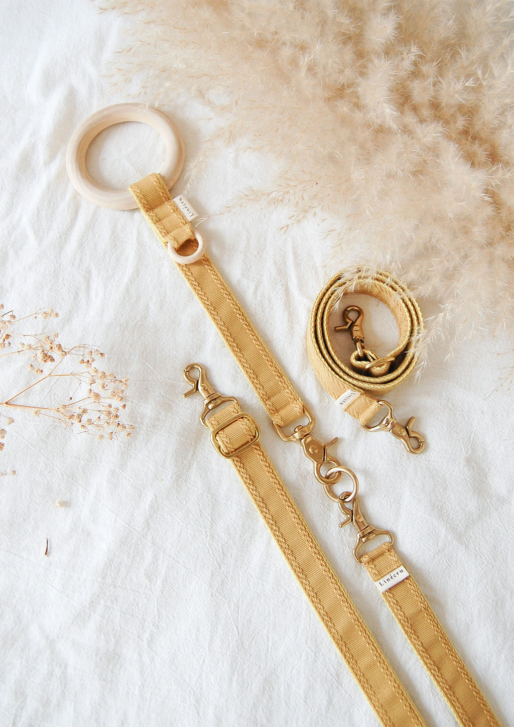 FJOL Multipurpose Leash (Dijon)