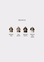 Beagle Prosopa Charm