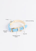 CURIO Collar & Leash Set (Mint)