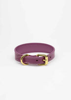 Purple Thin Leather Collar