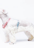Evening Harness