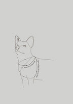 OTTO Figure 8 Harness