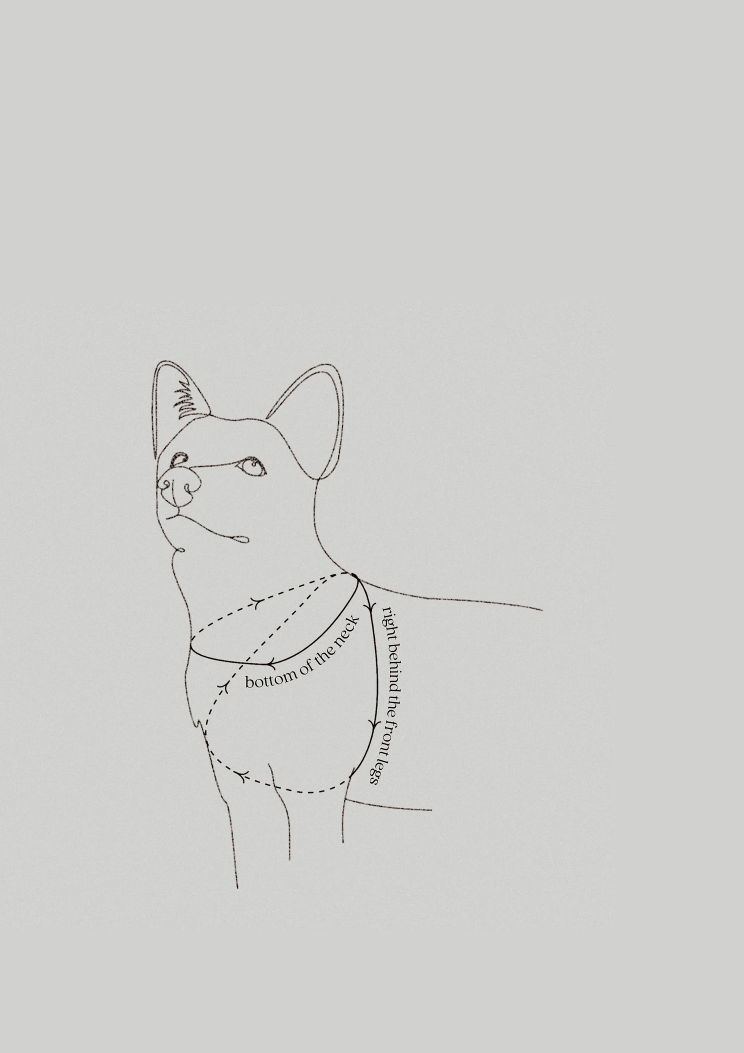OTTO Figure 8 Harness
