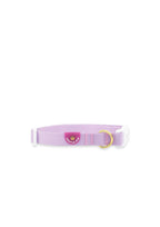 Lite Collar (Taro)