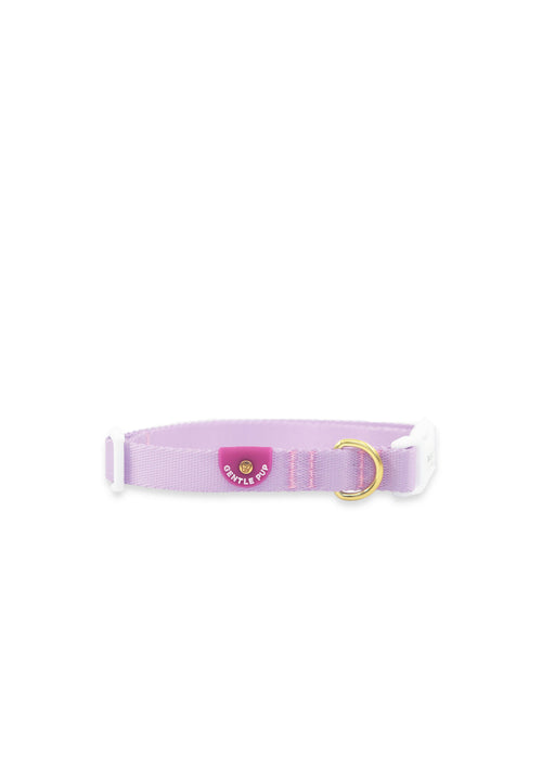 Lite Collar (Taro)