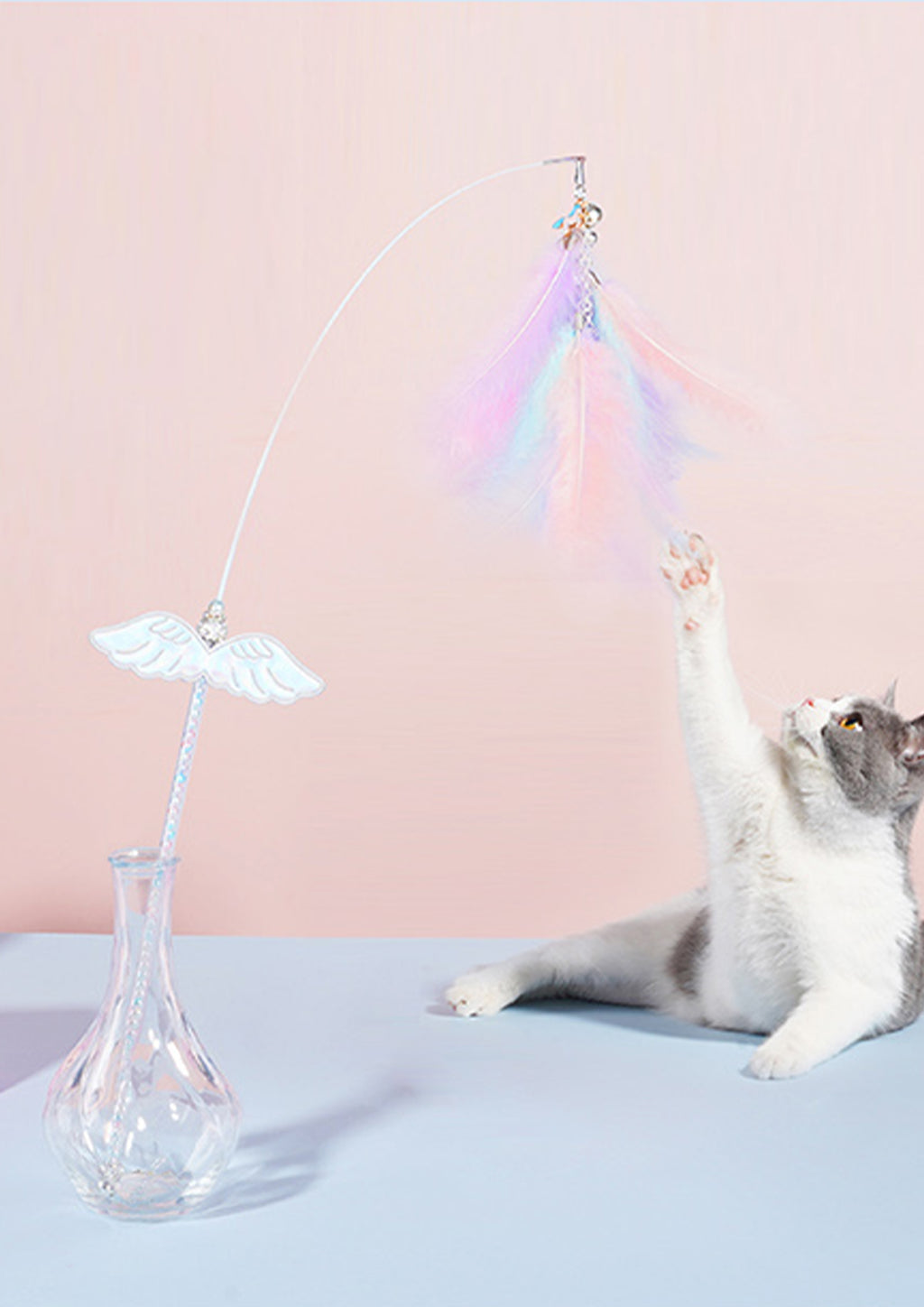 Unicorn Cat Teaser