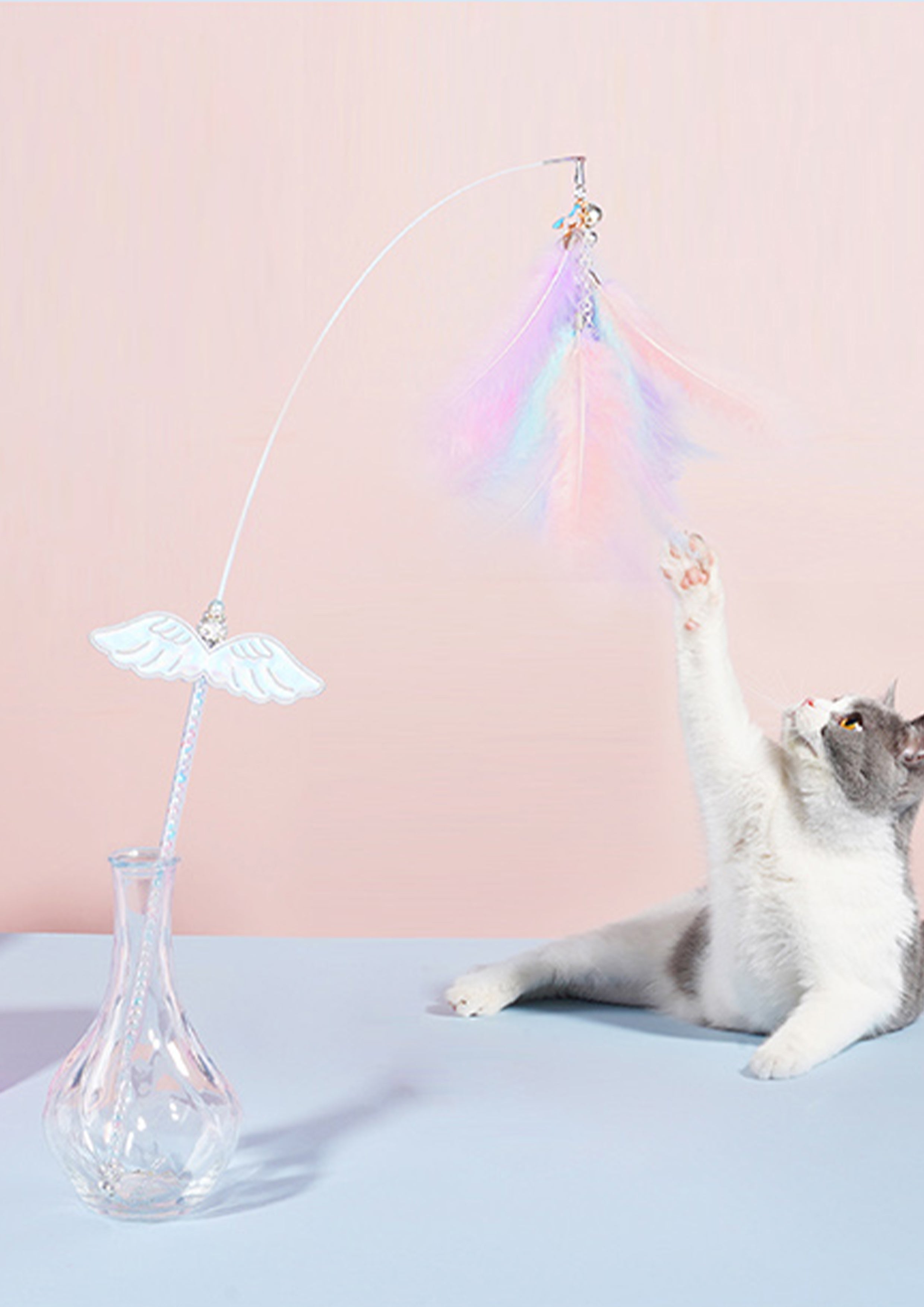 Unicorn Cat Teaser