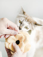 POPPY S Snuffle + Squeaky