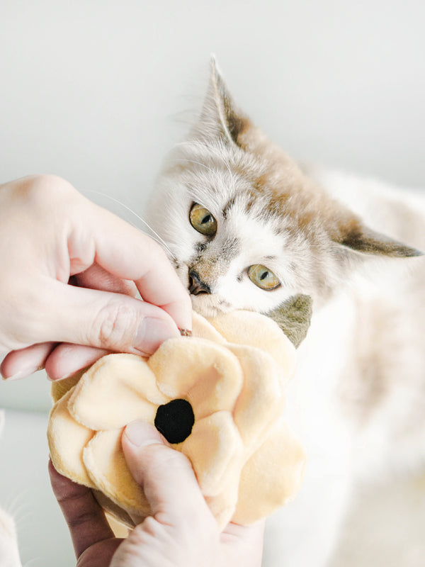 POPPY S Snuffle + Squeaky