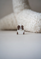 Border Collie Prosopa Charm