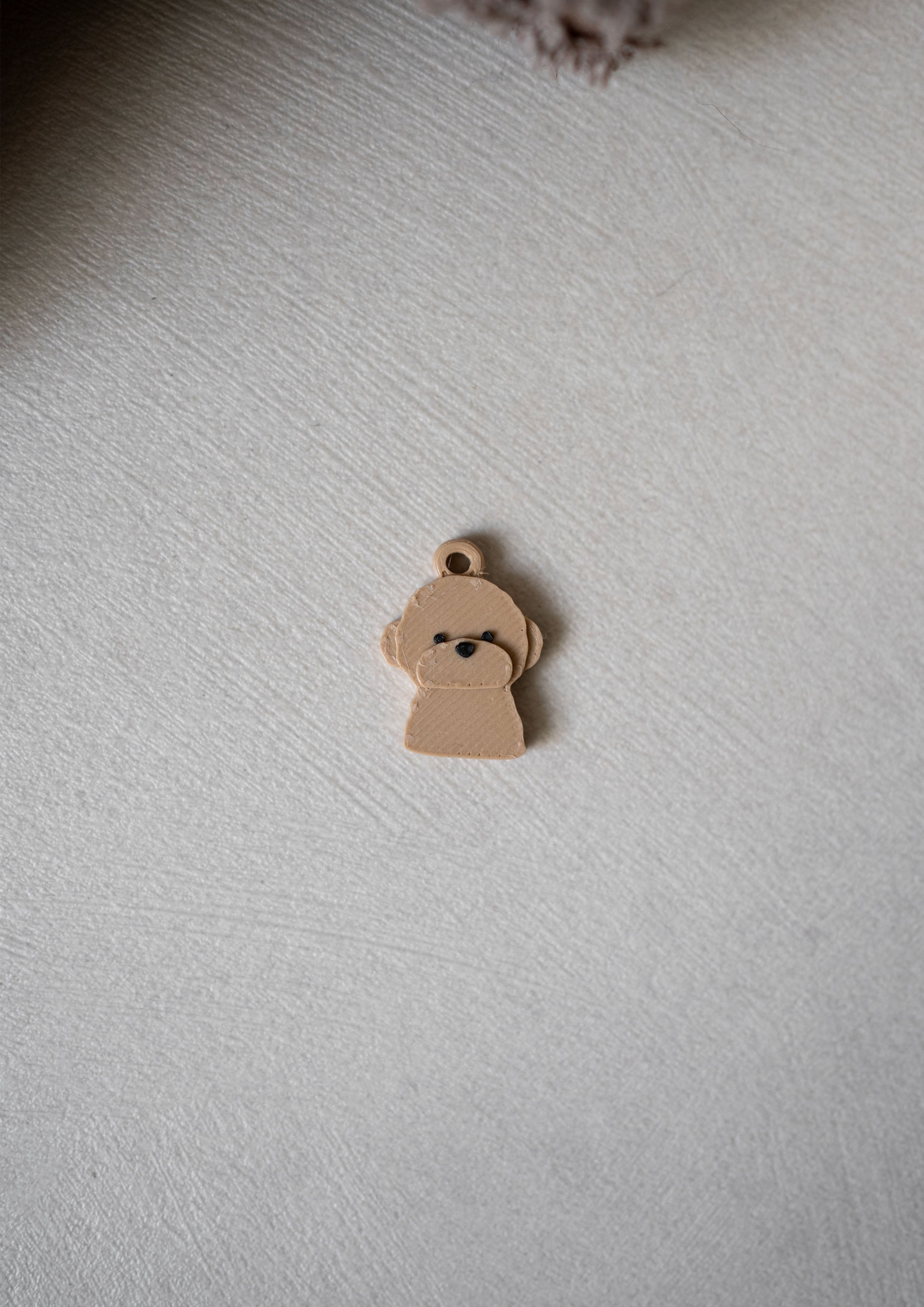 Bichon Prosopa Charm