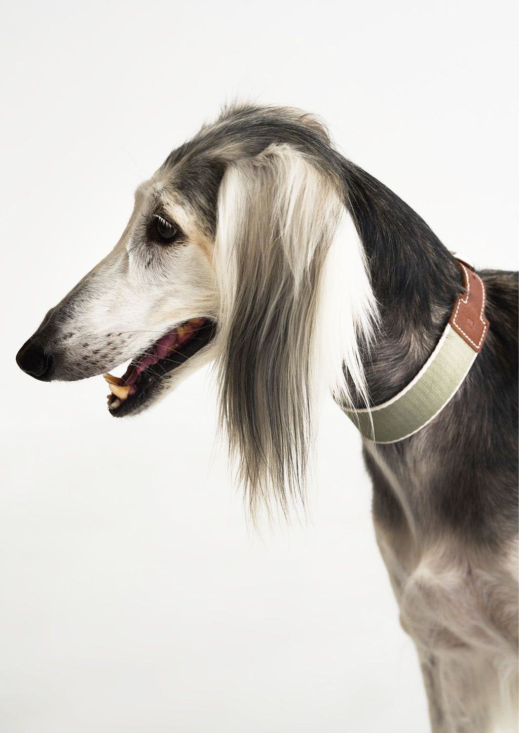 BREIT Collar