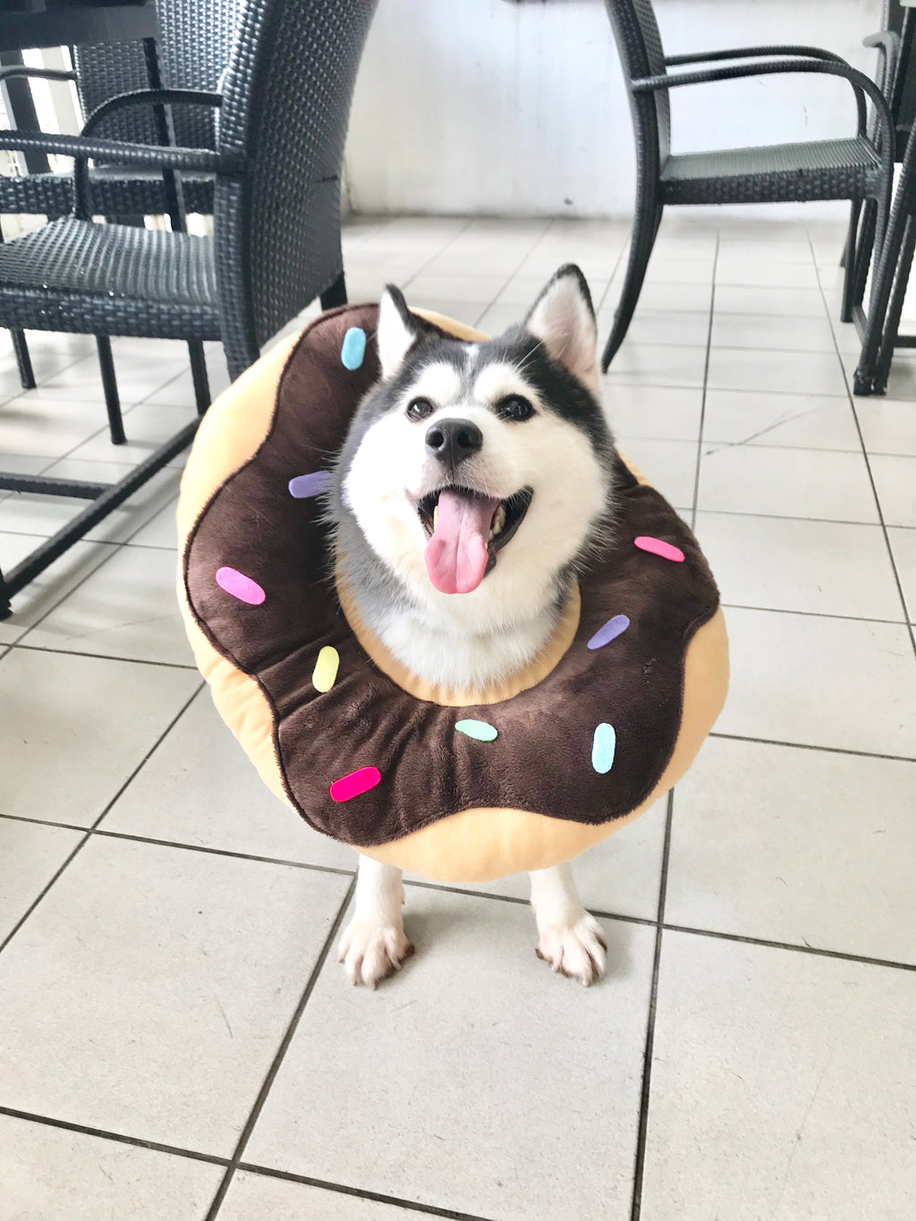 Chocolate Donut Cone