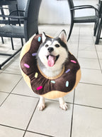 Chocolate Donut Cone