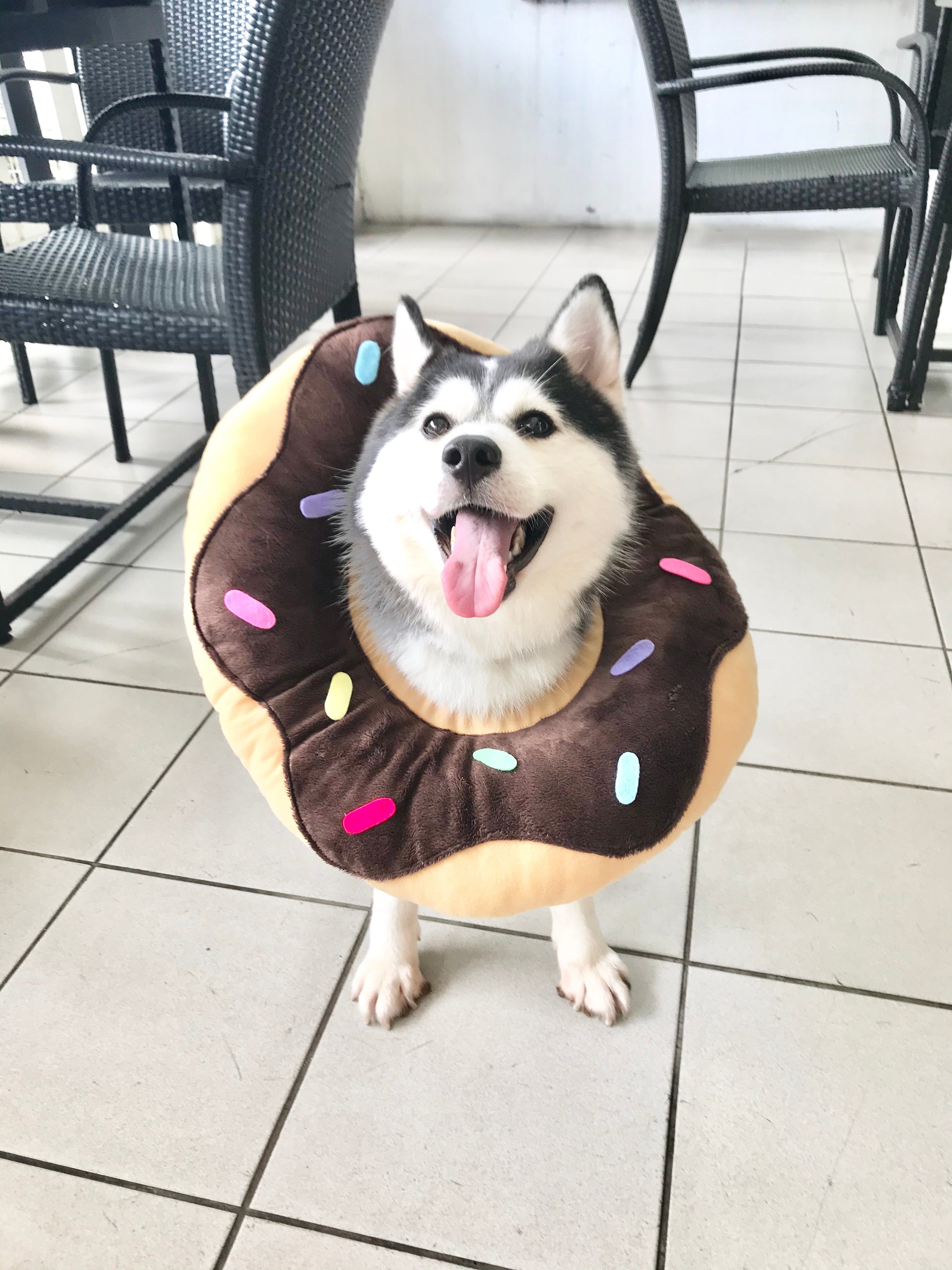 Chocolate Donut Cone