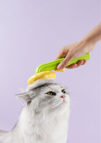 Sunflower Comb with Fur Remover