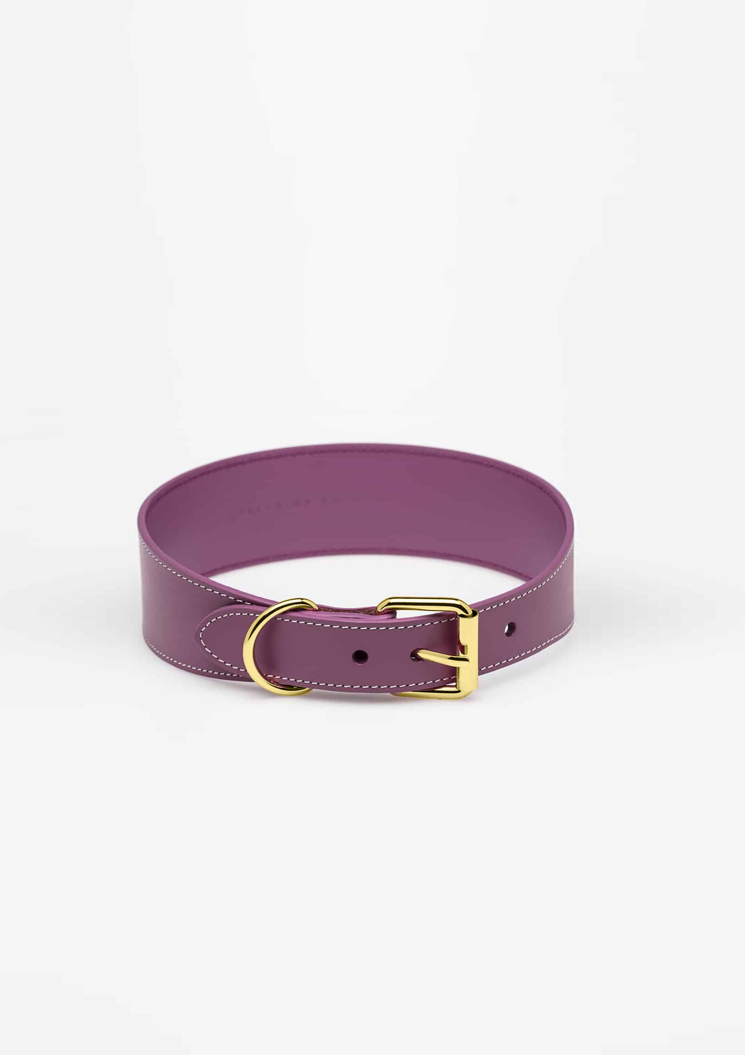 Purple Wide Leather Collar