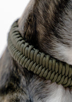FOSSIL Wide Paracord Collar