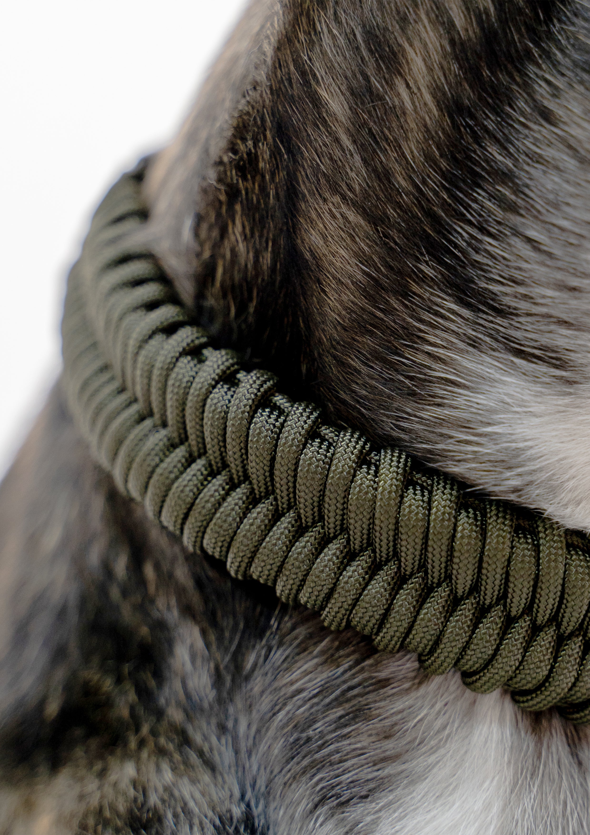 FOSSIL Wide Paracord Collar