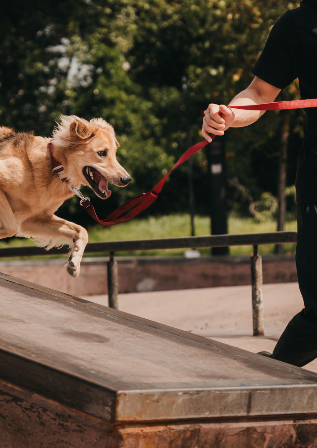 Plus Leash (Signature Red)