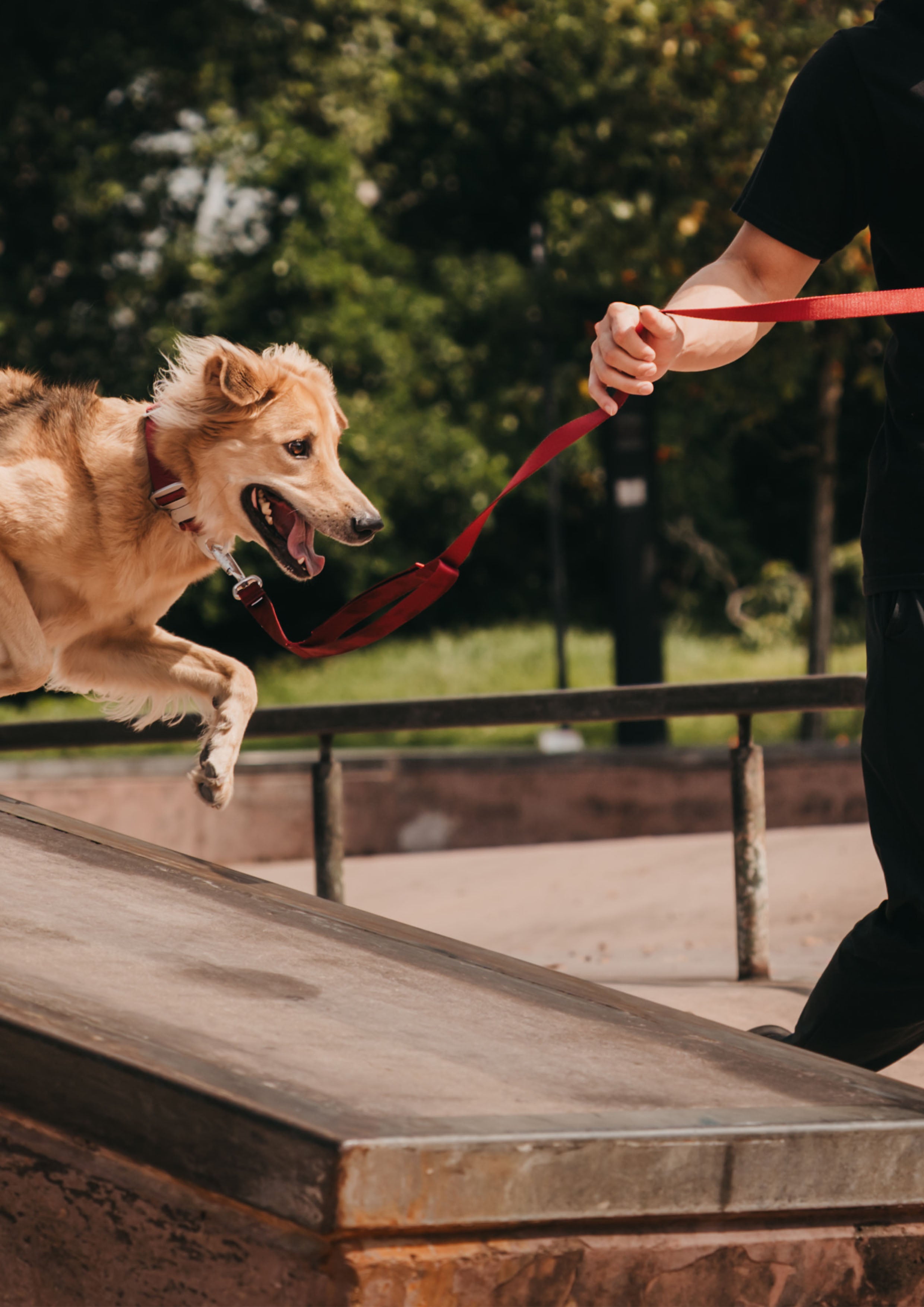 Plus Leash (Signature Red)