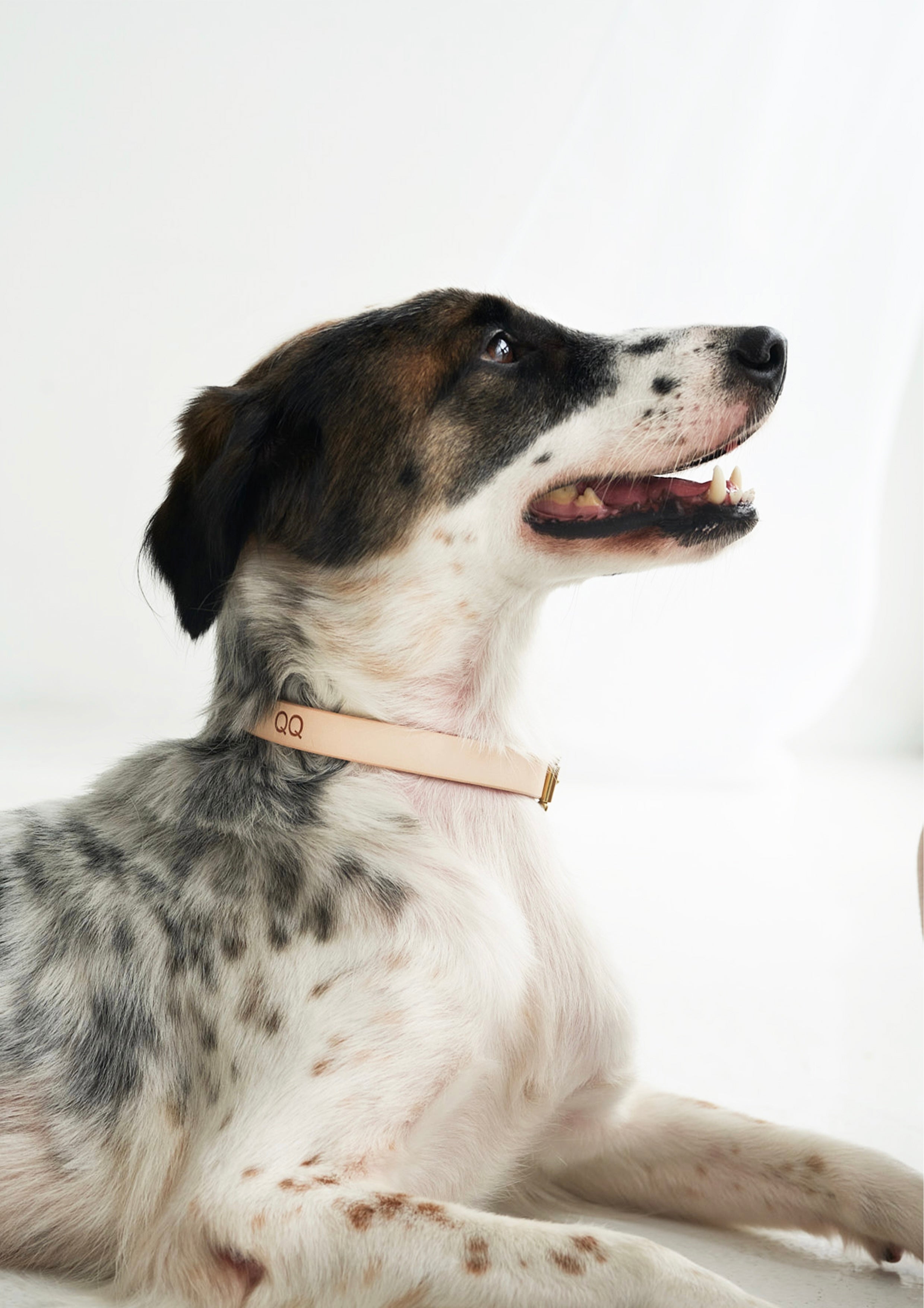 BUTTERO Leather Collar