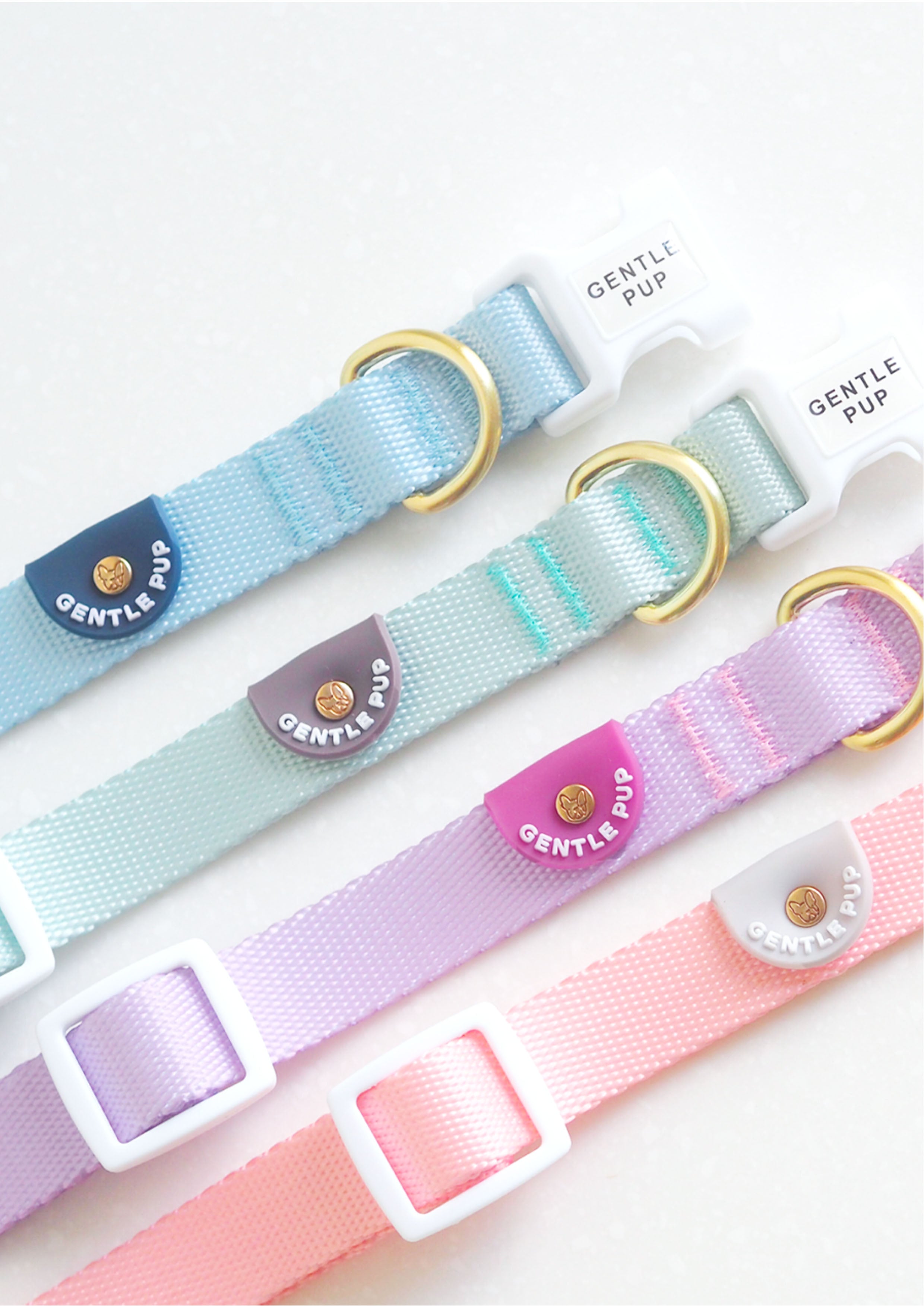 Lite Collar (Pistachio)