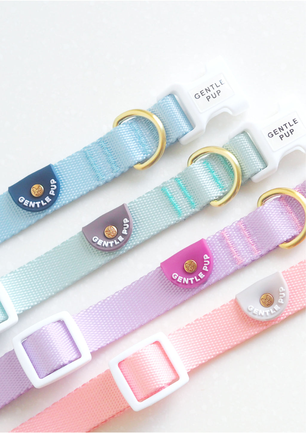 Lite Collar (Taro)