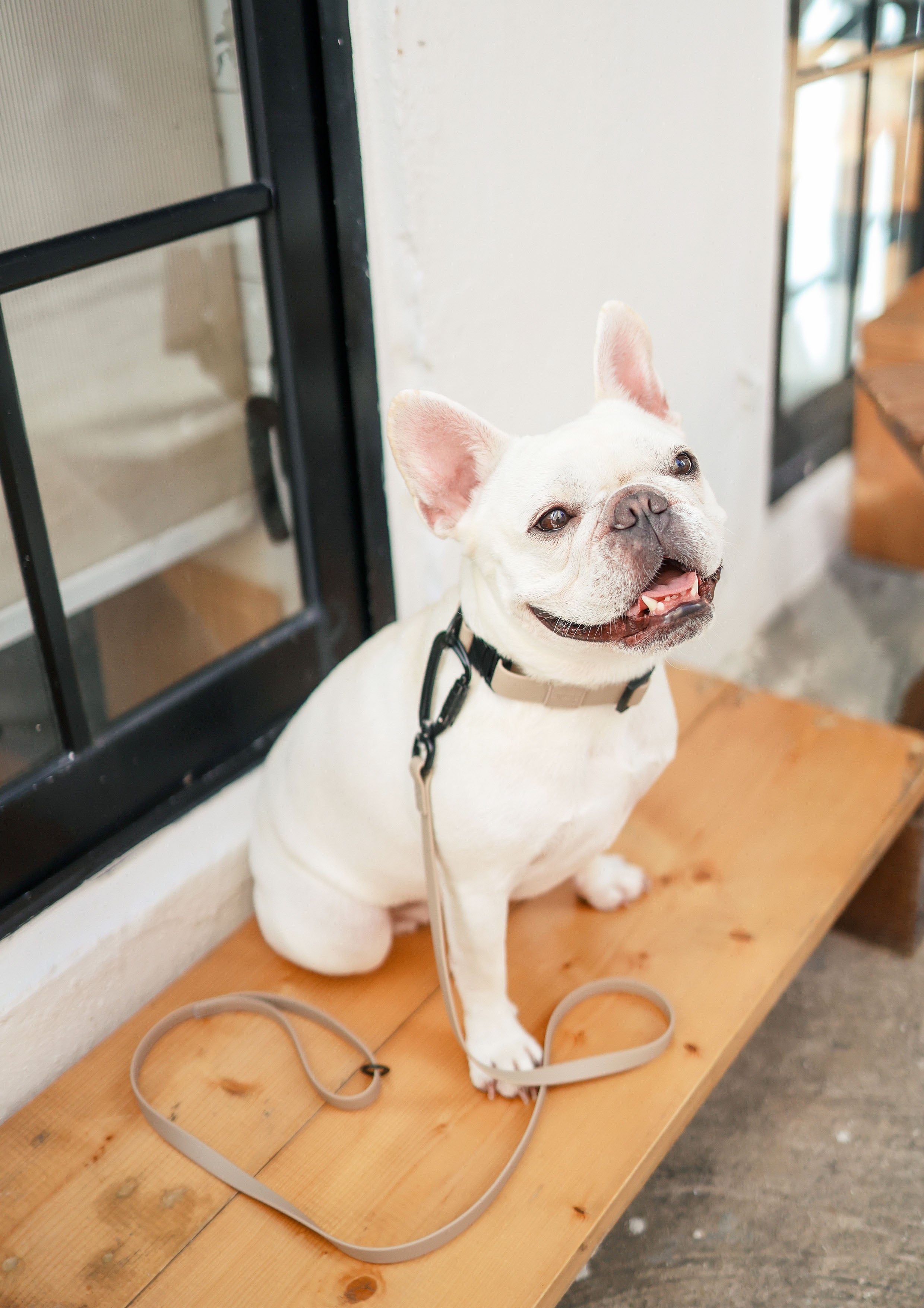 APEX Ultralight + Skinny Leash