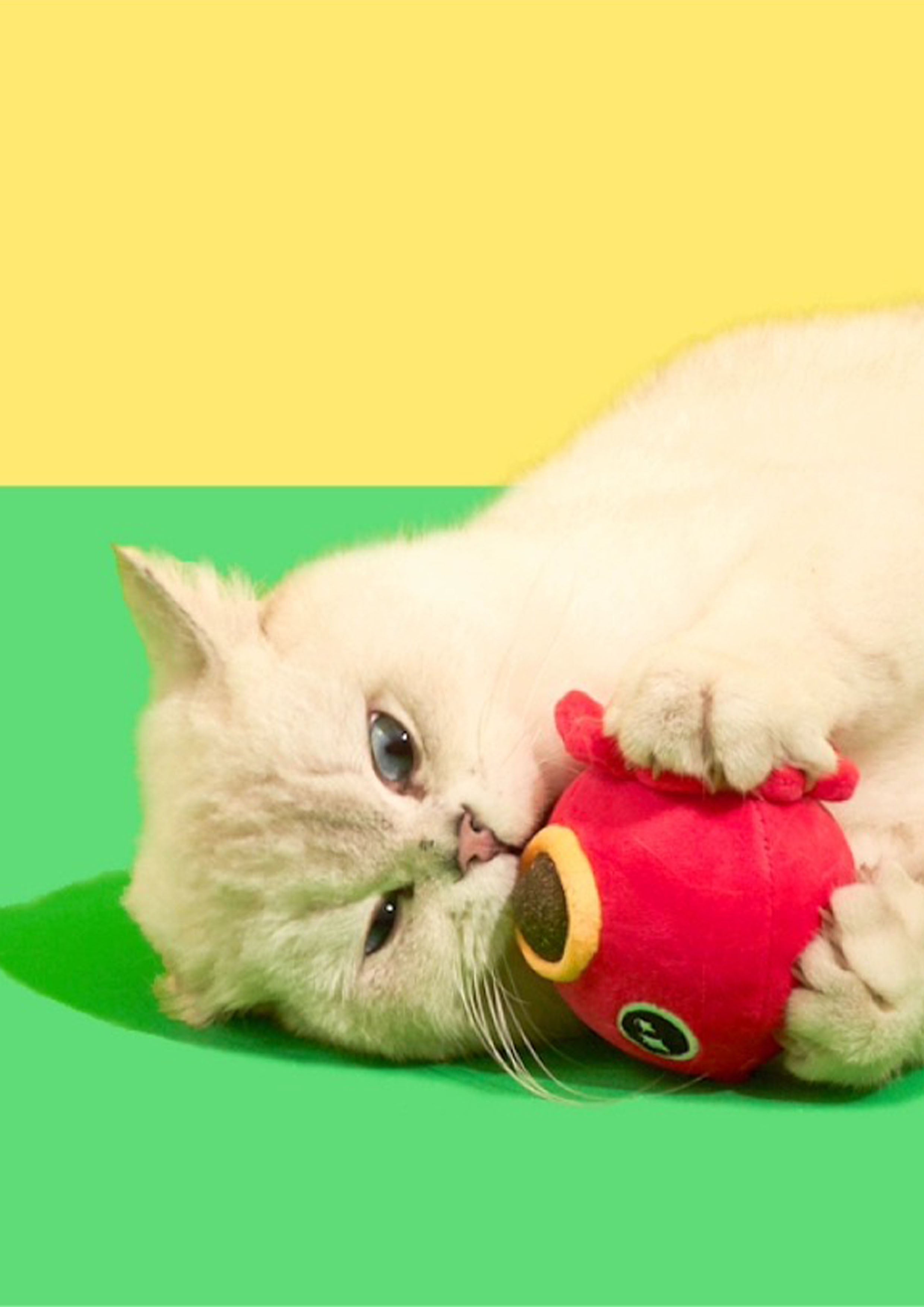 Takoyaki Catnip Toy