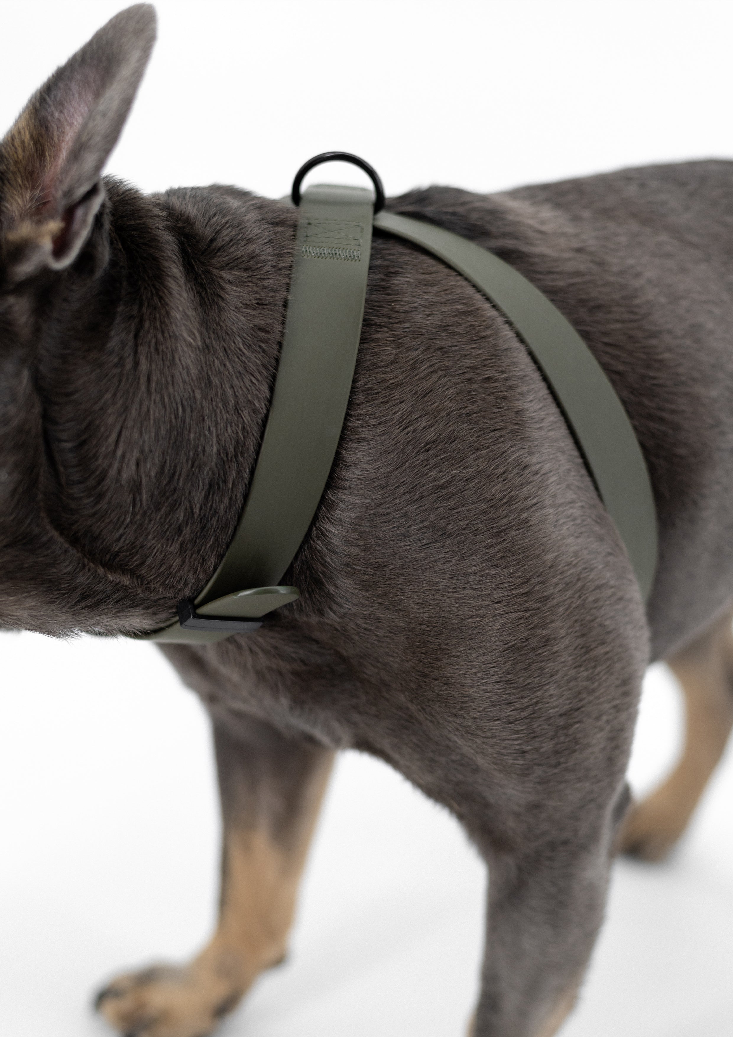 OTTO Figure 8 Harness