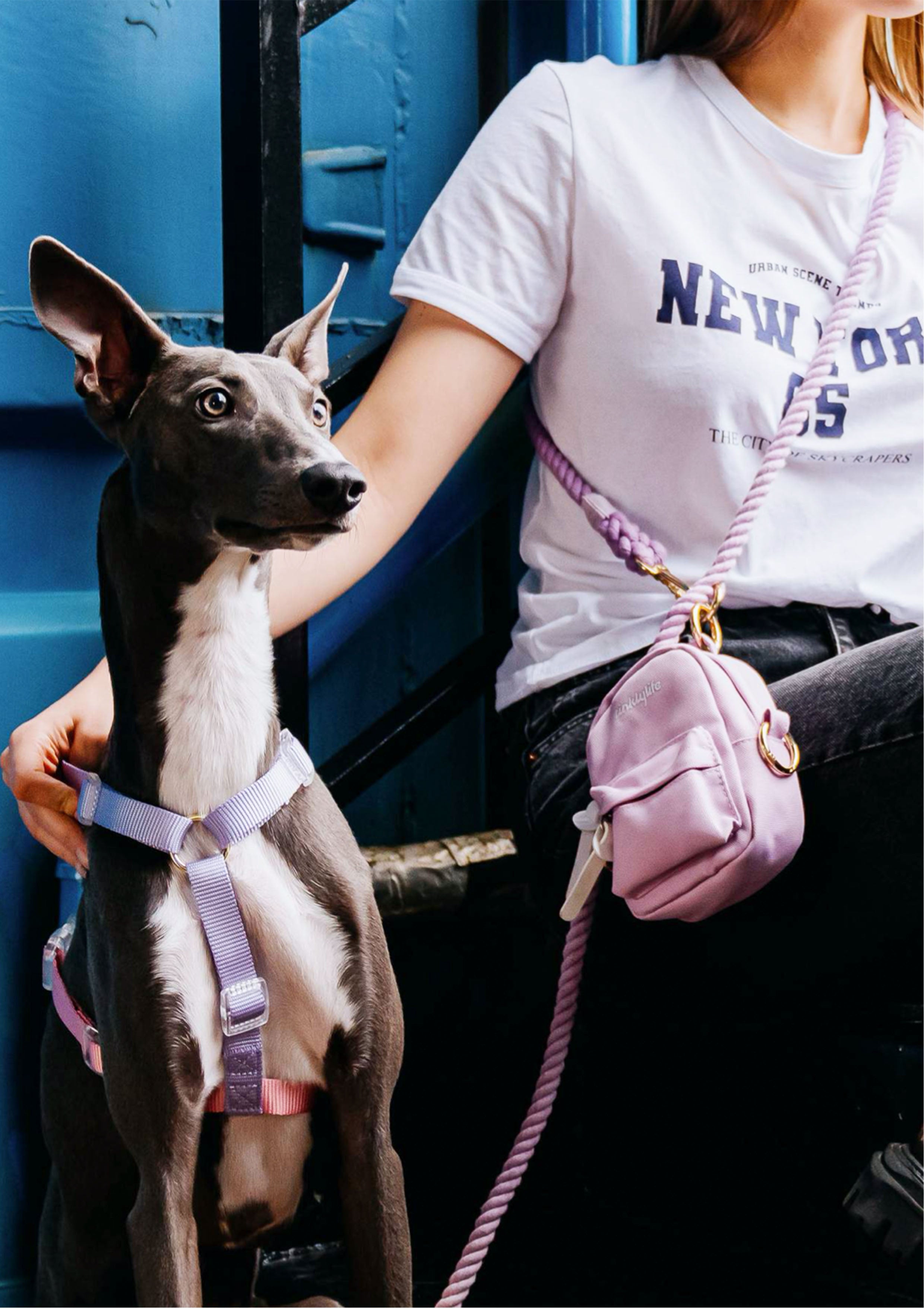 Taro Boba Harness