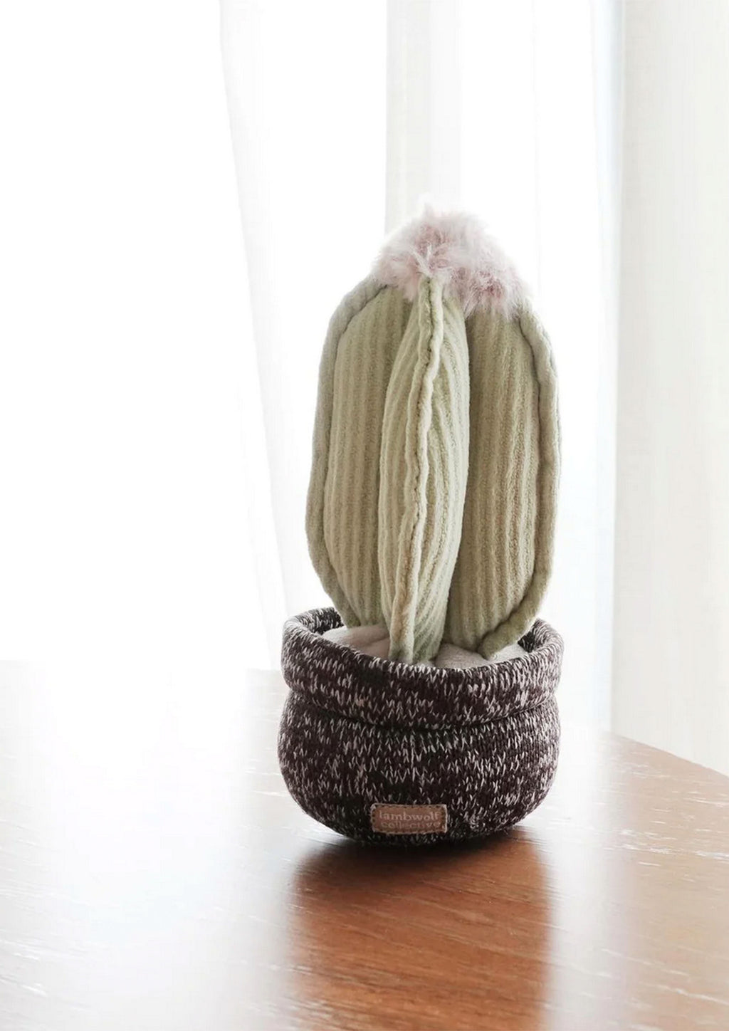 CACTUS Snuffle + Squeaky