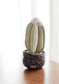 CACTUS Snuffle + Squeaky