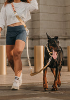 Handsfree Leash Set (Sand Dune)