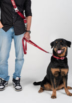Handsfree Leash Set (Signature Red)