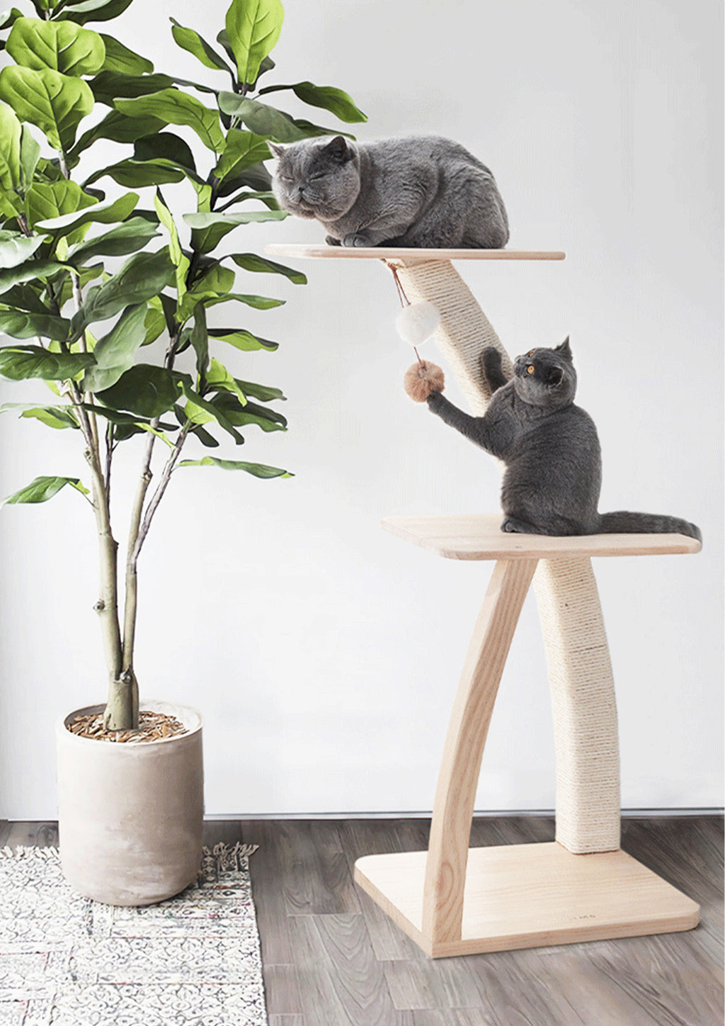 COCOTIER Cat Tree