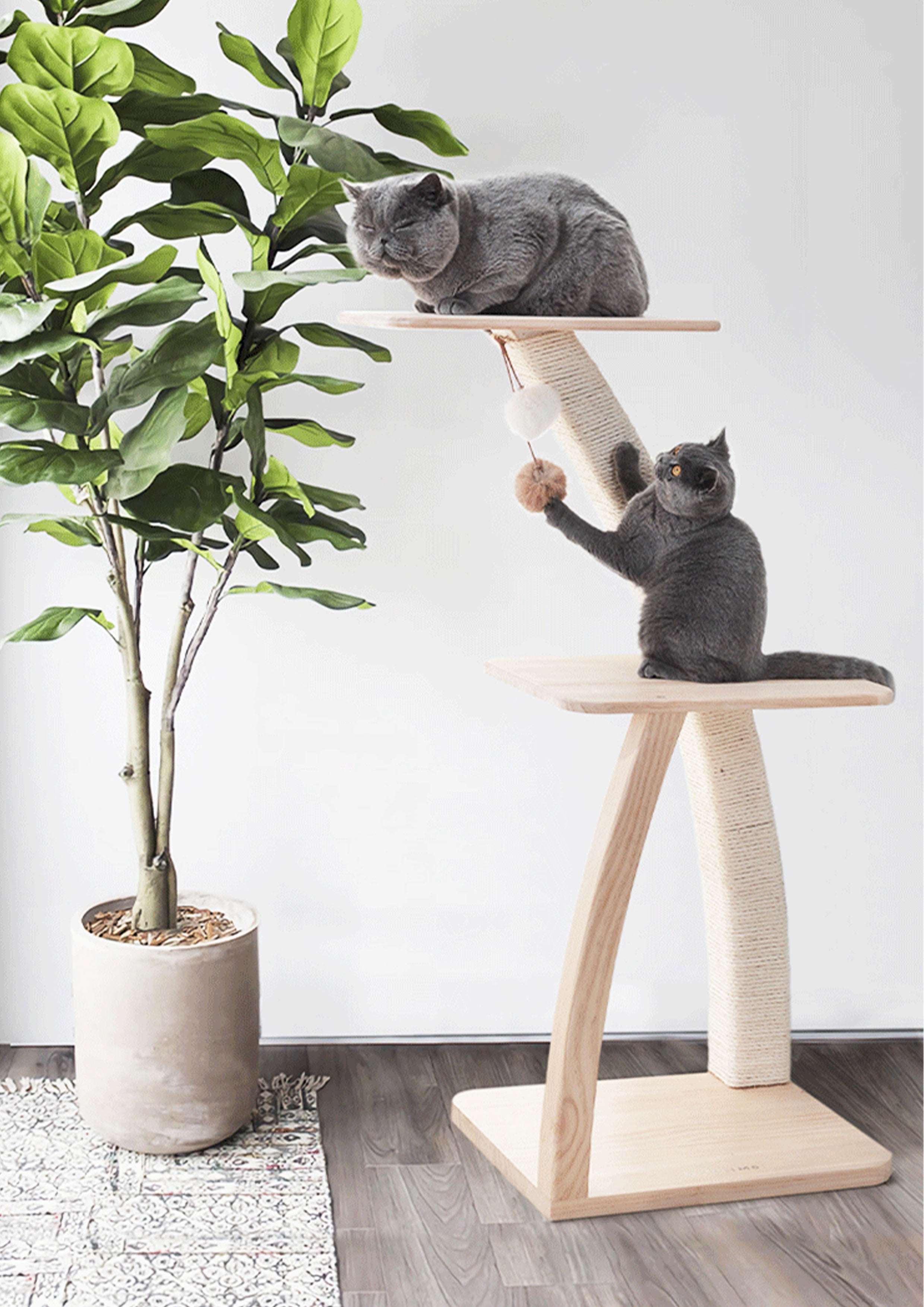 COCOTIER Cat Tree