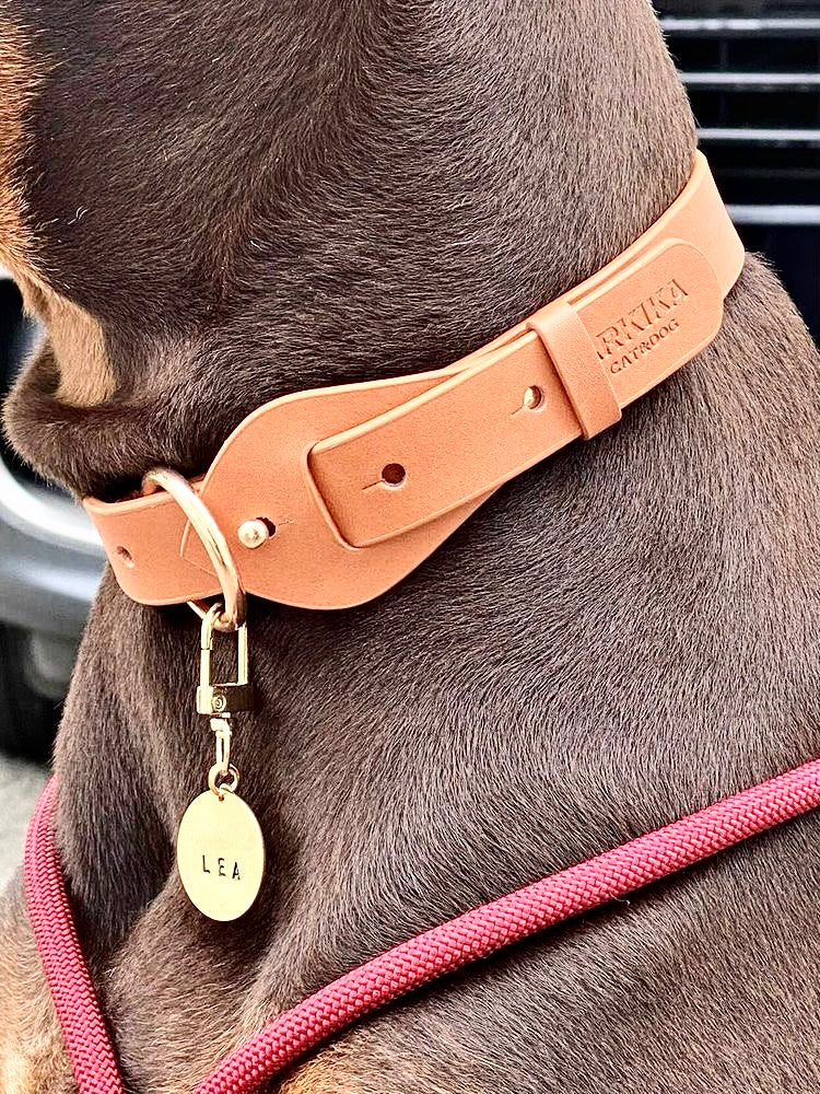 Arkika Microfiber Collar
