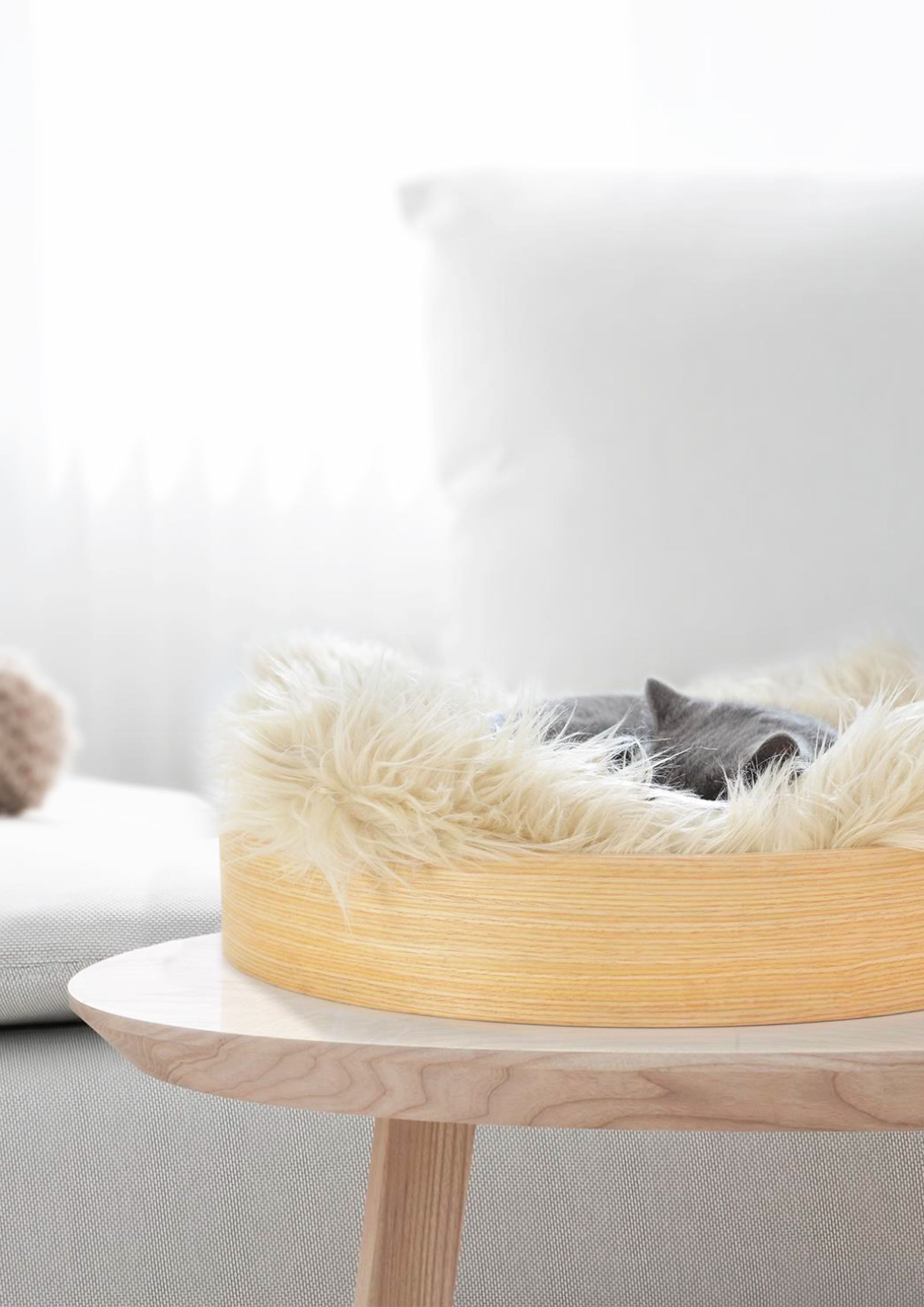 RING Nest