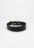 Black Thin Leather Collar