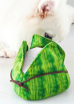 Rice Dumpling