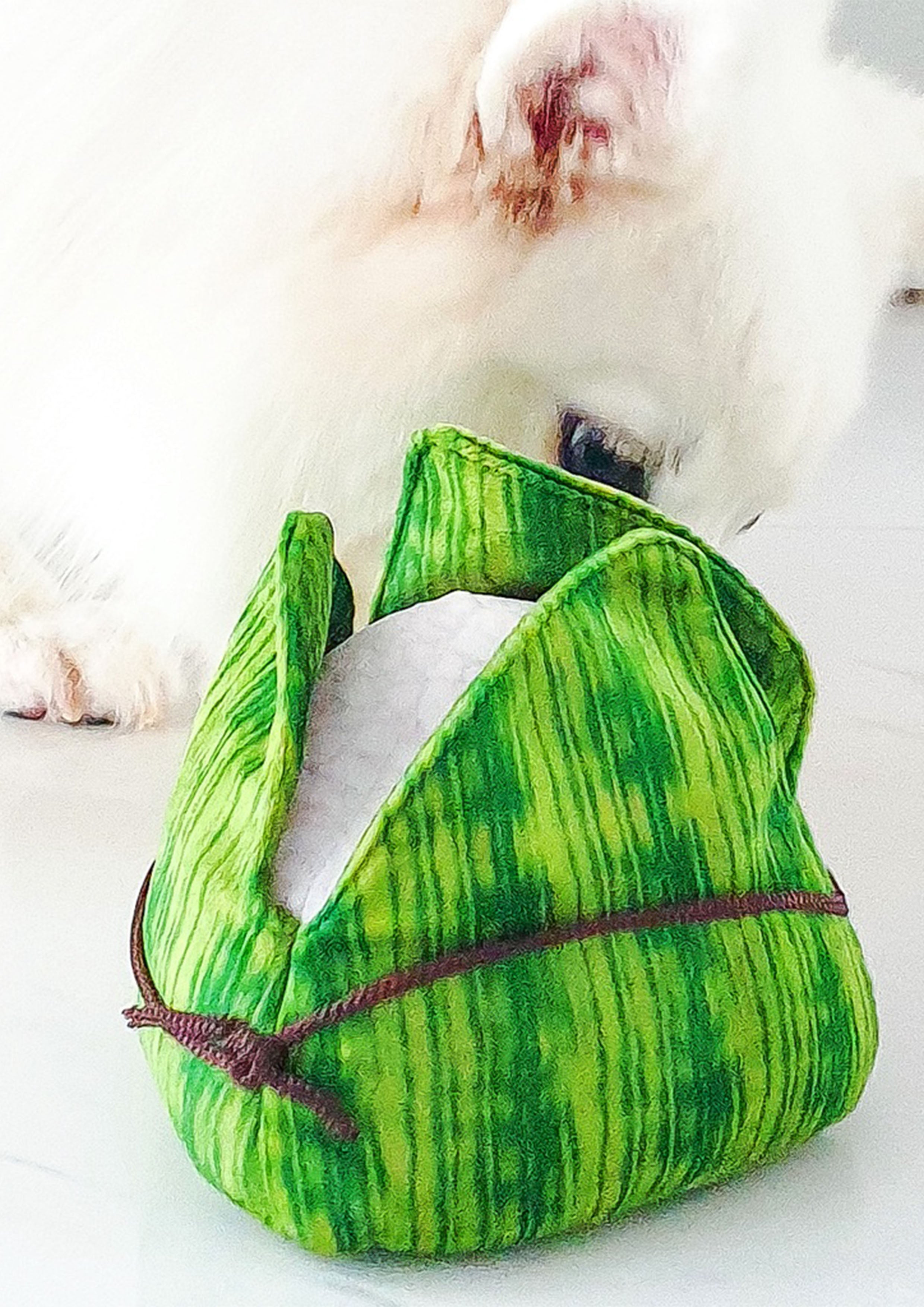 Rice Dumpling