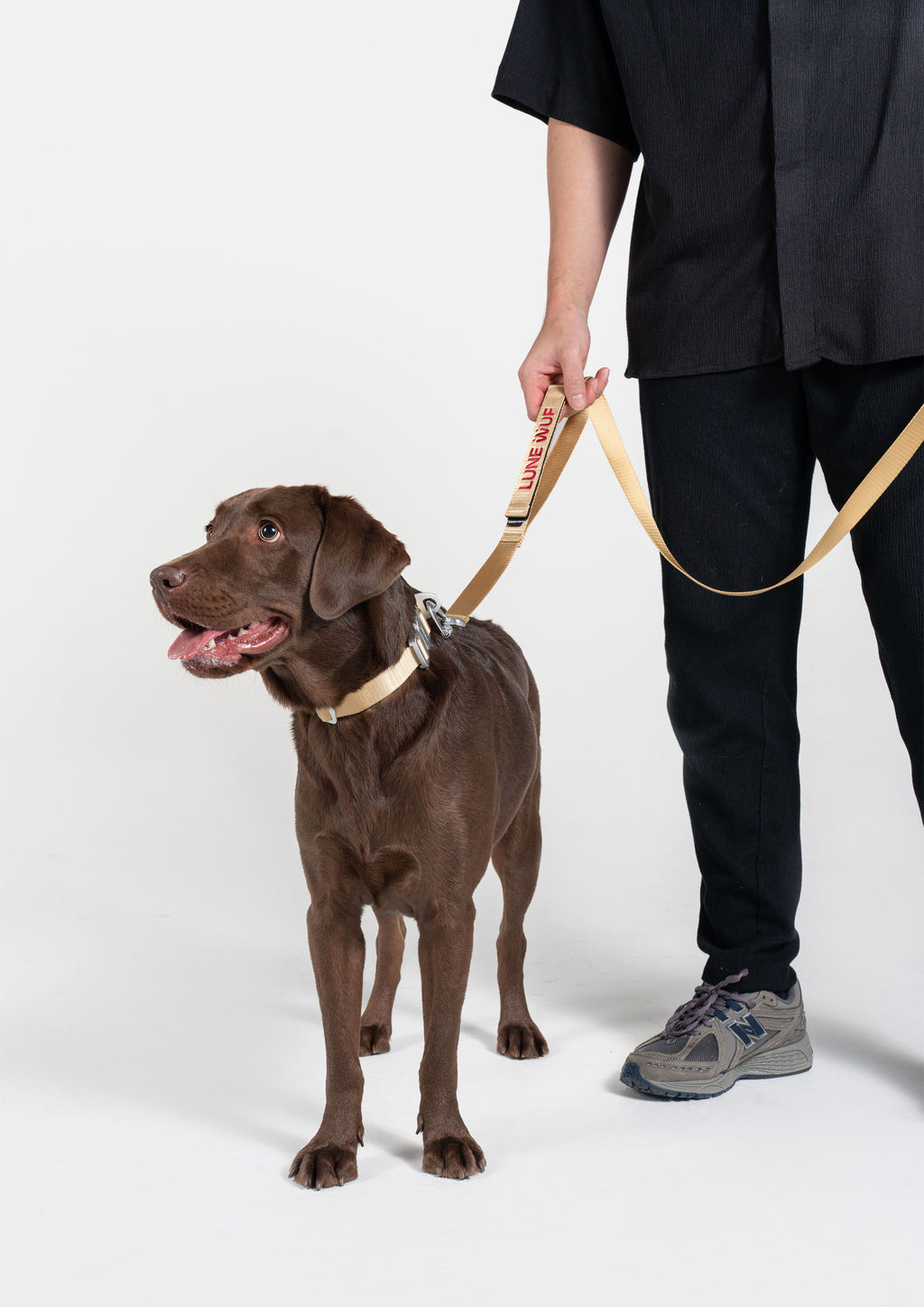 Plus Leash (Sand Dune)