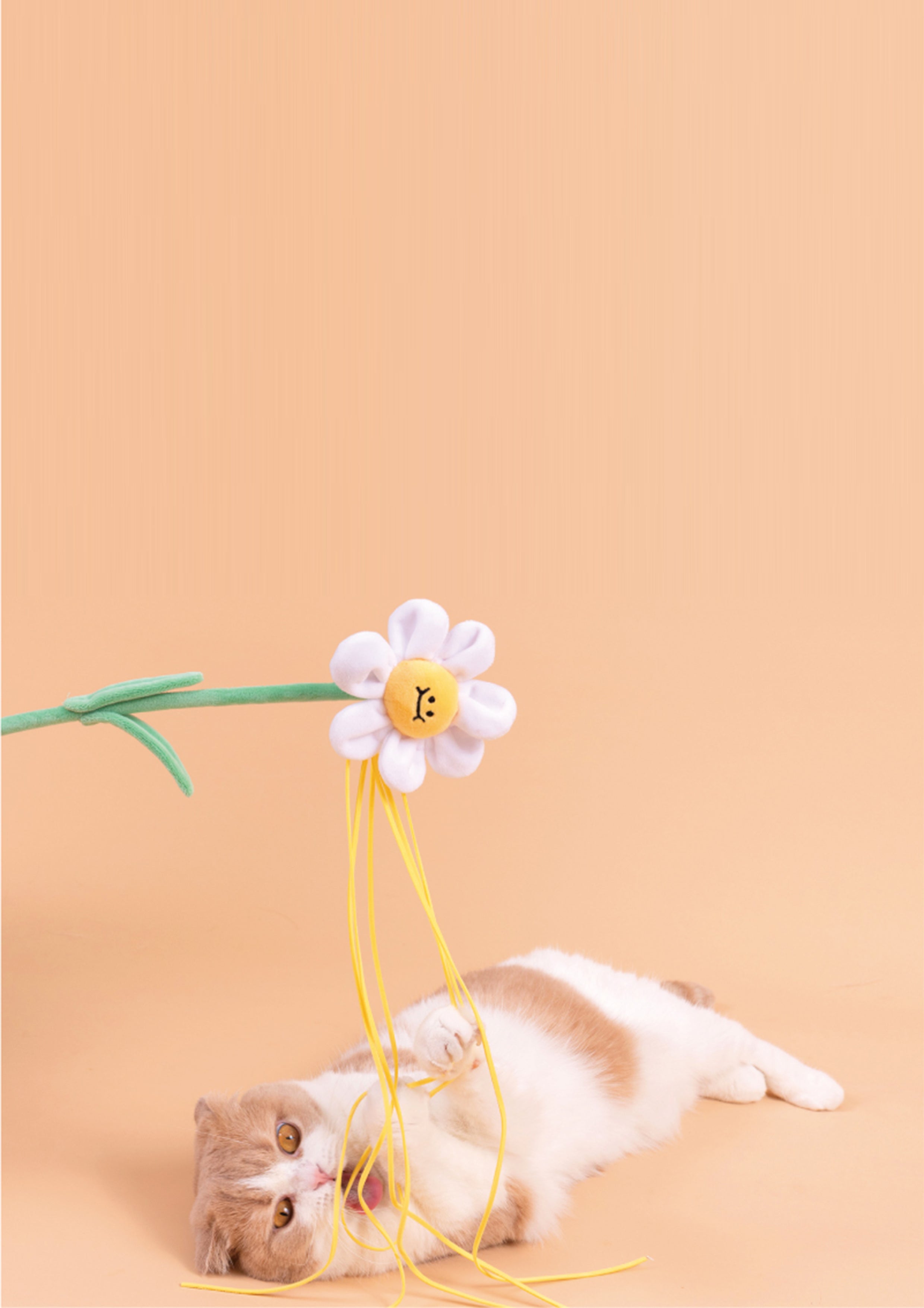 Daisy Cat Teaser with Catnip