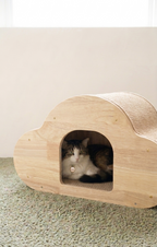 Cloud Nest
