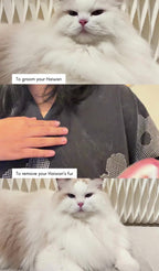 SNUGGLY BRUSH